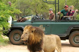 Leopard Hills - 5 Star Safari Lodge in Sabi Sands, Kruger National Park