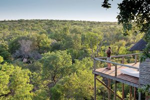 Leopard Hills - 5 Star Safari Lodge in Sabi Sands, Kruger National Park