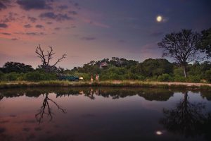 Leopard Hills - 5 Star Safari Lodge in Sabi Sands, Kruger National Park
