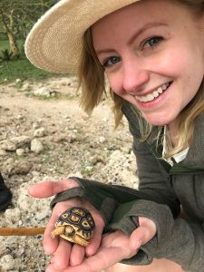 Tanzania travel - walking safari - baby leopard tortoise