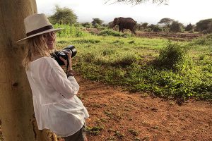 Tanzania Safari - Africa Travel Specialists - Luxury Safari - Wild Elephants