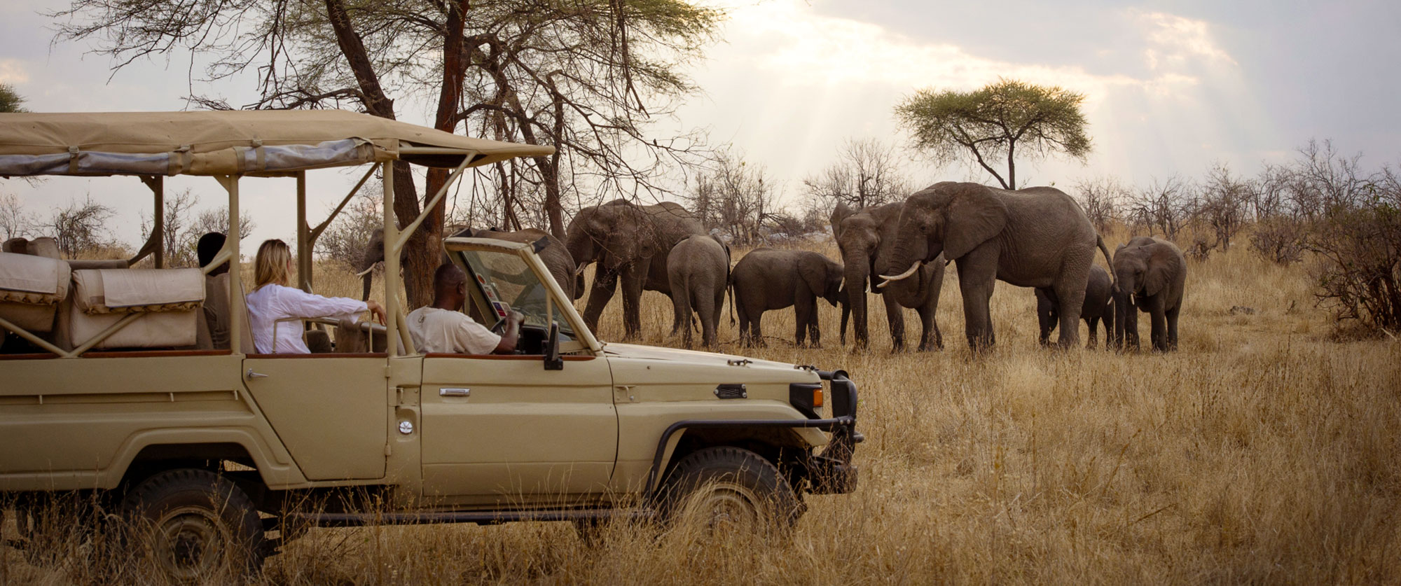 Tanzania Travel Packages - Herd of elephants on a game drive at Kigelia Ruaha Camp