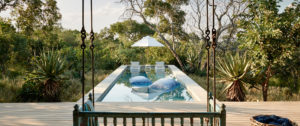 South Africa luxury travel packages - Safari at The Farmhouse at Royale Malewane