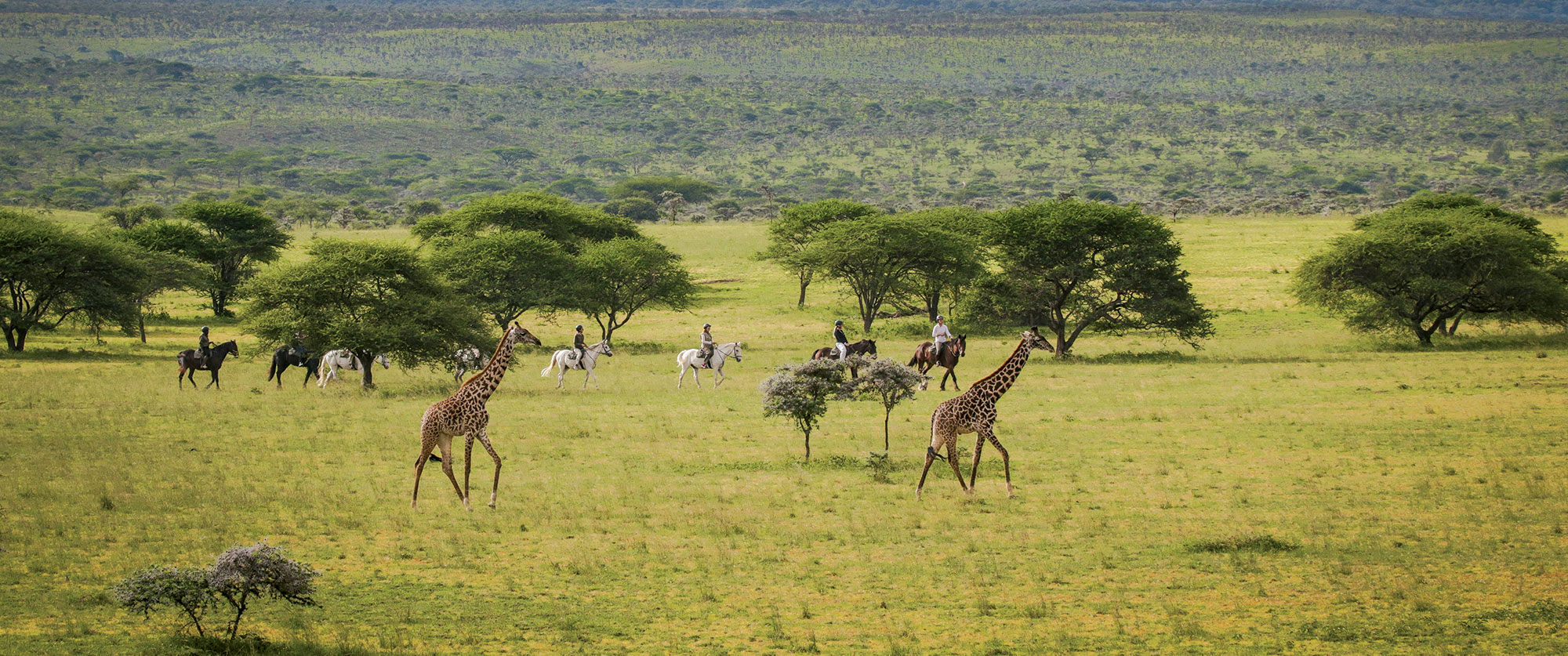 Luxury Kenya Vacation Packages - Horseback Riding Safari at Ol Donyo Lodge