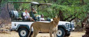 Classic Zimbabwe Safari Package - Little Makalolo Camp, Game Drives at Hwange National Park