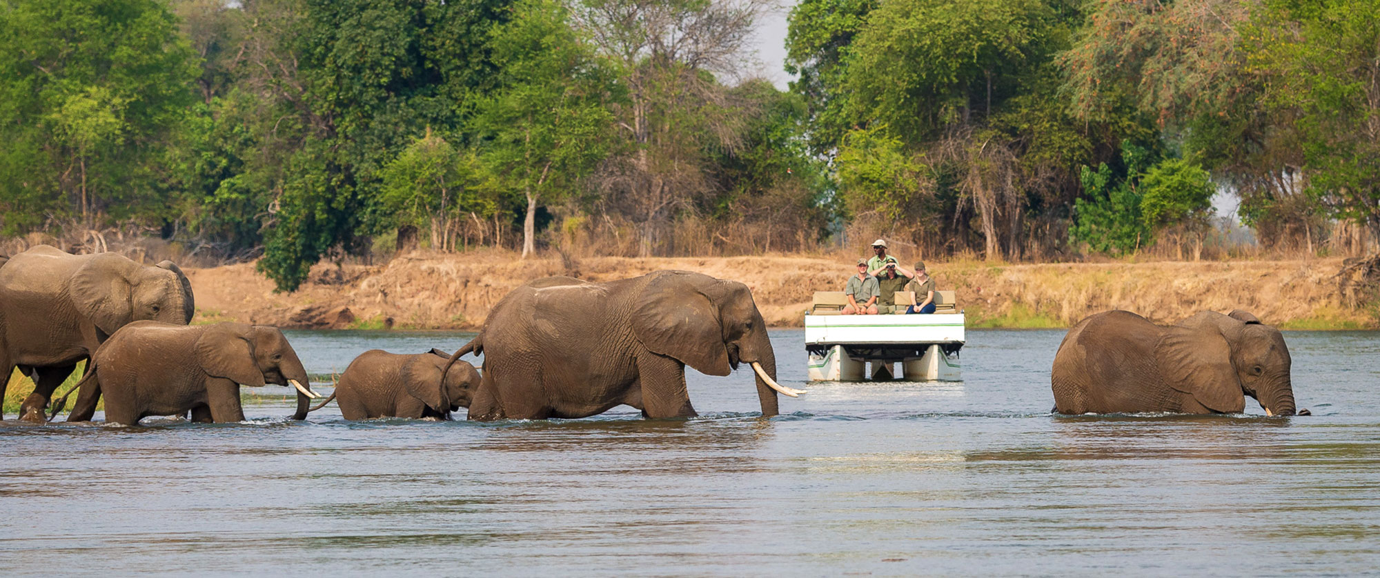 Classic Zimbabwe Safari Package - Little Ruckomechi Camp, Mana Pools National Park, Zambezi River Wildlife Cruise