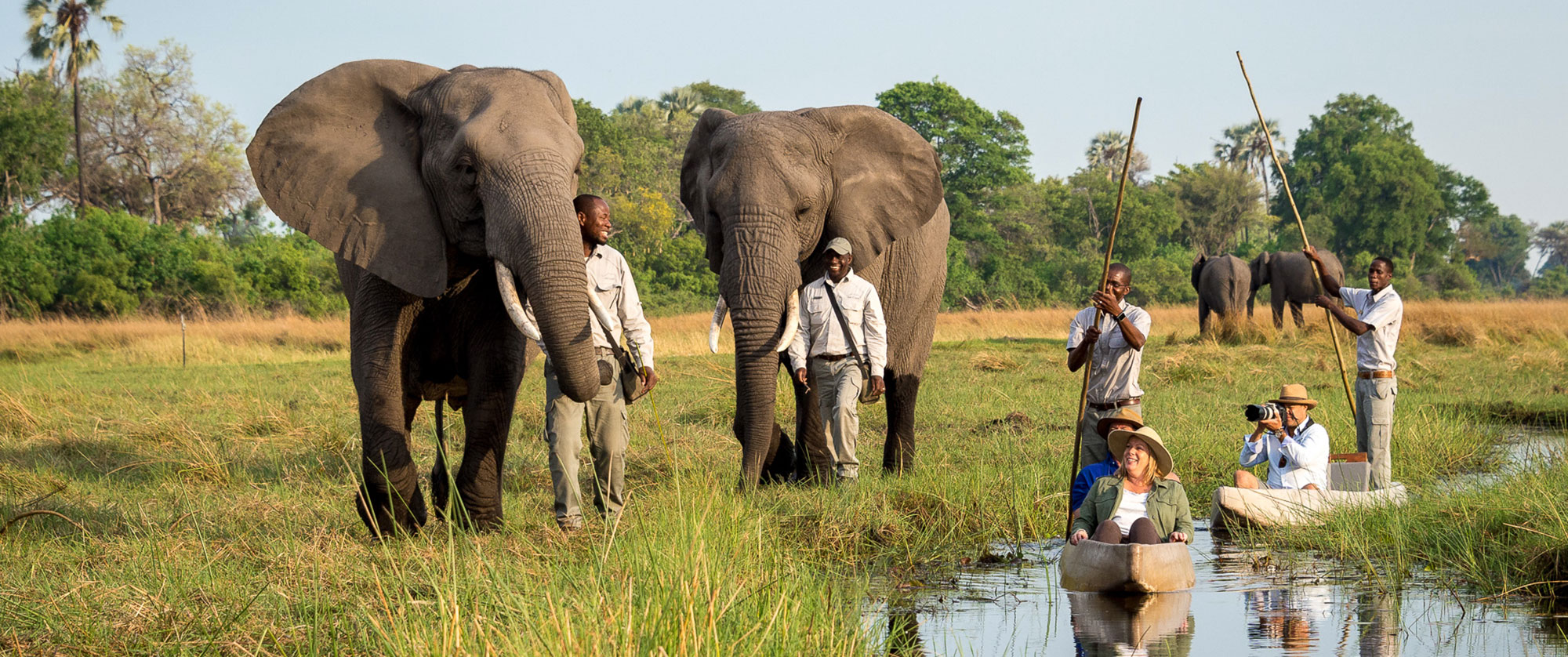 Okavango Delta Packages - Luxury Safari - Mokoro Safari and Walking with Elephants at Abu Camp