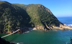 south-africa-best-time-to-visit-garden-route-CMH-tsitsikamma-natl-park