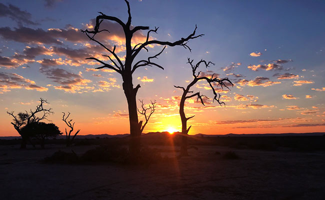 Namibia Sunset with Trees