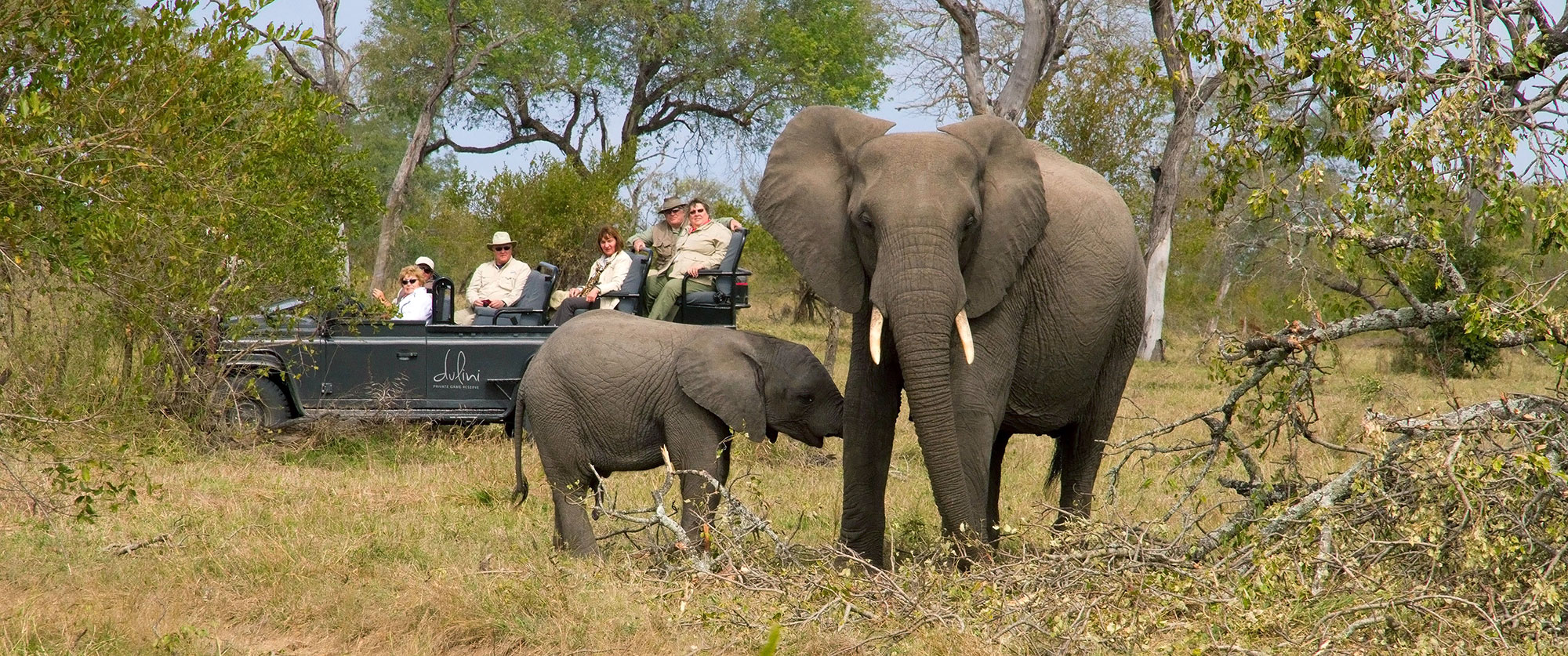 Dulini Lodge Game Drive - Kruger Safaris South Africa