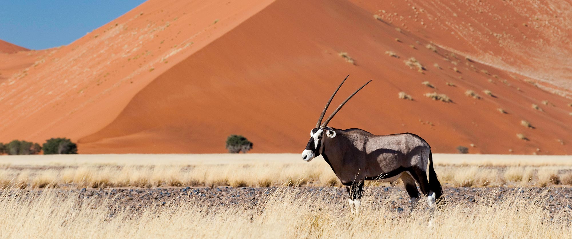 Sossusvlei Namibia dunes - Little Kulala Camp