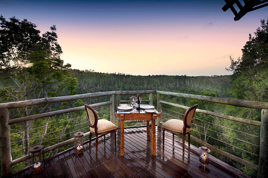 Garden Route South Africa - Tsala Treetop Lodge