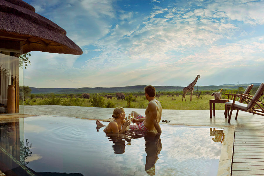 South Africa safari - Madikwe Hills Safari Lodge