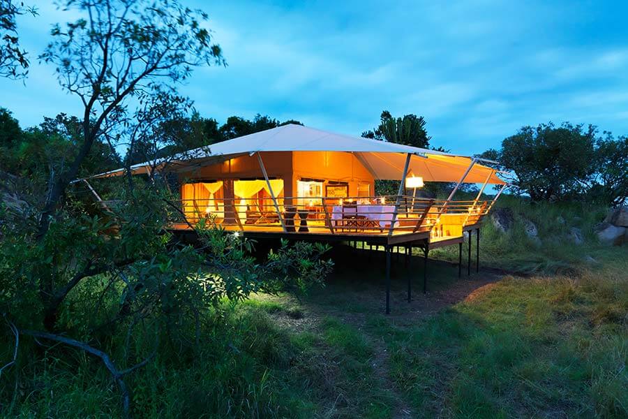 safari south africa 5 star