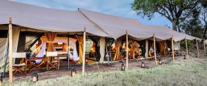 Family Tent at Legendary Serengeti Mobile Camp Safari - Great Migration Safari Packages