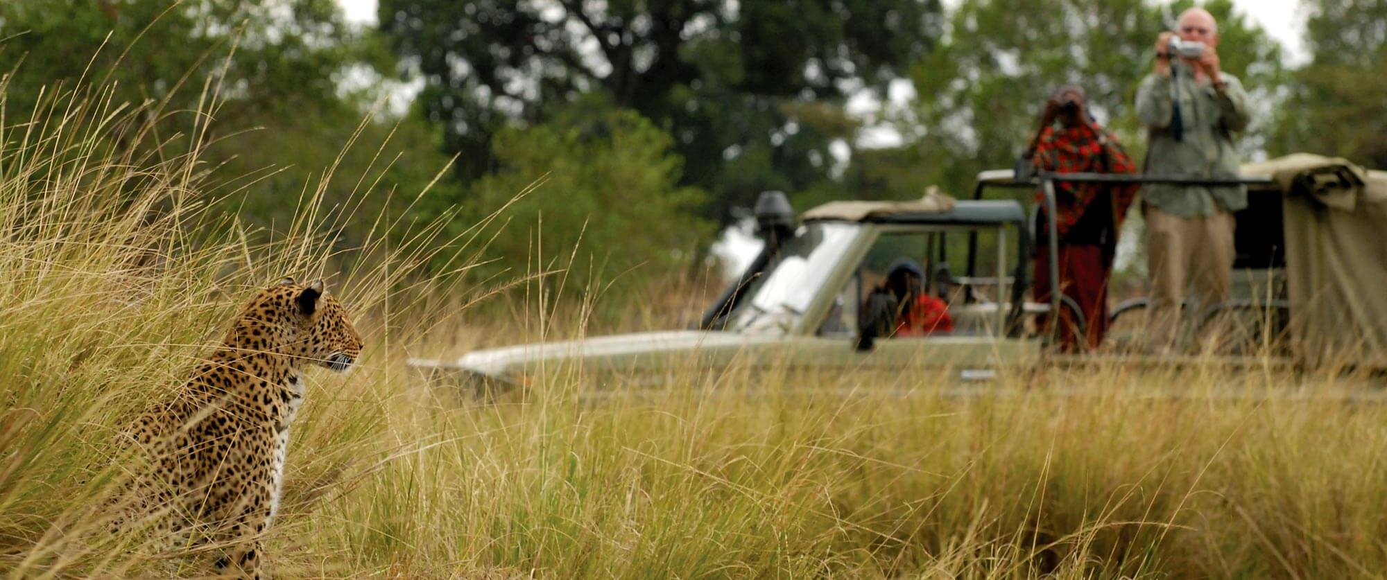 Masai Mara Game Drive - Leopard - Alex Walker's Serian Kenya - Masai Mara Safari Packages