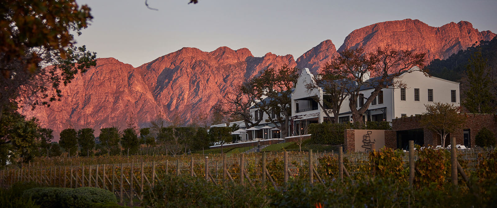 Leeu Estates Franschhoek - Cape Winelands - South Africa Travel Packages