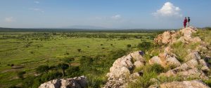 Views of the Wilderness - Tarangire Treetops Lodge - Tanzania Safari Honeymoon