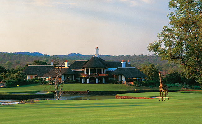 Giraffe in Front of Club House at Leopard Creek South Africa - South Africa Golf Vacations - Kruger National Park