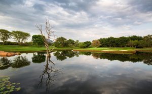 Water Feature at Leopard Creek South Africa - South Africa Golf Vacations - Kruger National Park
