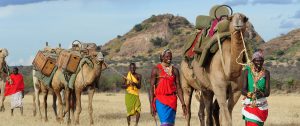 Karisia Walking Safaris with Camels - Kenya Walking Safari: A Walk in the Wild Travel Package