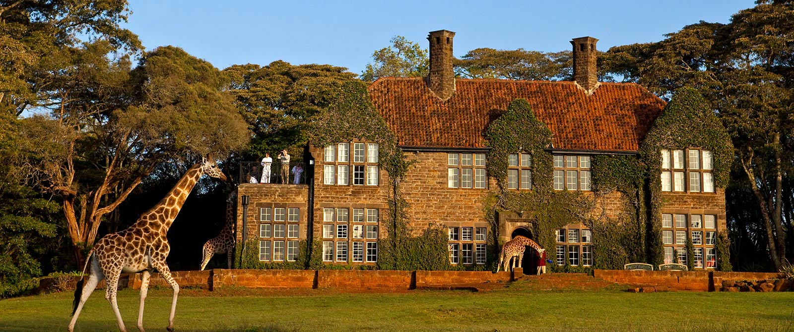 Romantic Kenya: Giraffe Manor and Masai Mara Safari