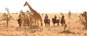 Horseback Safari in Kenya - Lewa Wilderness - East African Safari: Kenya and Tanzania Luxury Tour