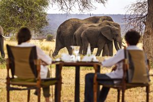 See Wild Elephants at Breakfast - Little Chem Chem - East African Safari: Kenya and Tanzania Luxury Tour