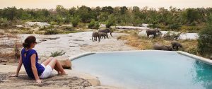 Elephants at the Pool, Londolozi Private Granite Suites, Sabi Sand - Cape Town Explorer and Family Safari Adventure