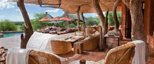 Tswalu Motse Safari Lodge Deck and Pool - Cape Town Explorer and Family Safari Adventure