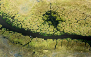 Aerial View of Okavango Delta - Ellen Hoffman, Africa Travel Agent