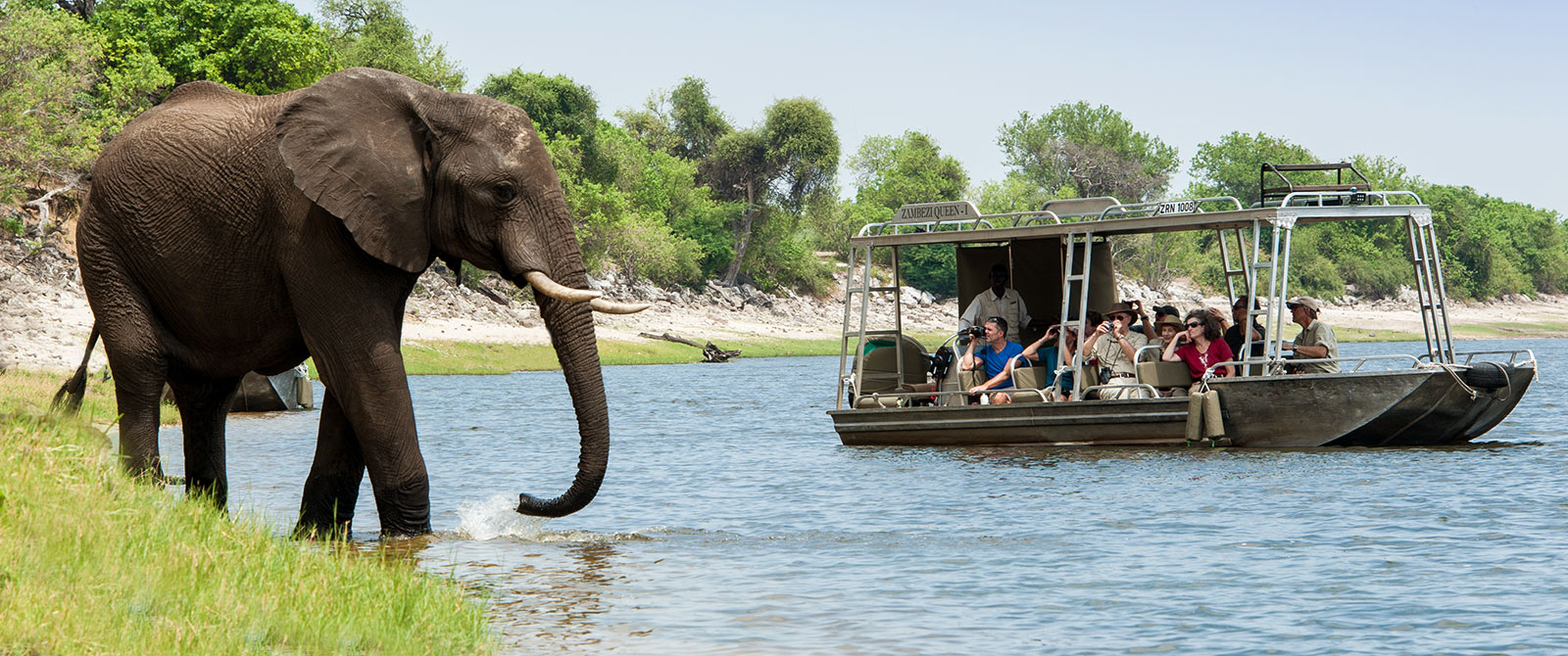 Elephant in the Chobe River - Excursion from Zambezi Queen River Cruise