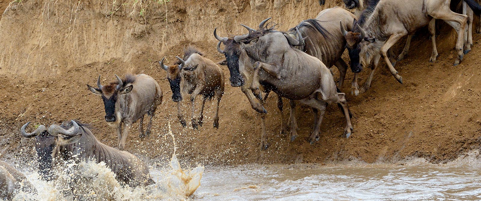 Great Migration Safari in the Serengeti, Tanzania