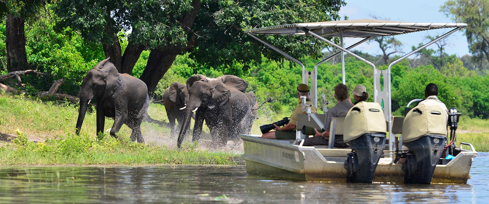 Elephants in the Chobe River - Excursion from Zambezi Queen River Cruise