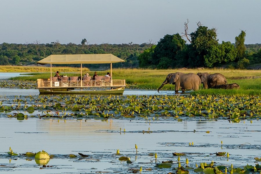 River safari in Chobe National Park, Botswana