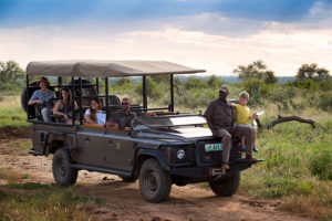 Family Safari in Africa - South Africa Family Travel