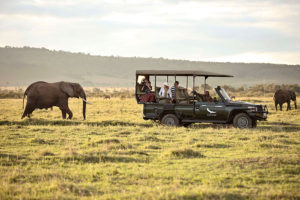 Luxury Kenya Safari Travel - African Safari Travel Agency