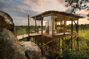 South Africa Safari Vacations - Cape Town Safaris