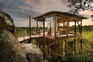 South Africa Safari Vacations - Cape Town Safaris