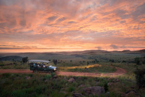 Safari Vehicle in Welgevonden Game Reserve - South Africa Safari Vacations