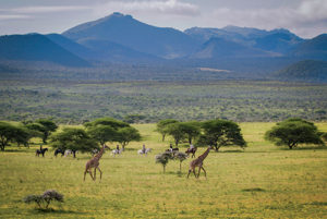 Horseback Safari in Chyulu Hills, Kenya - Ol Donyo Lodge