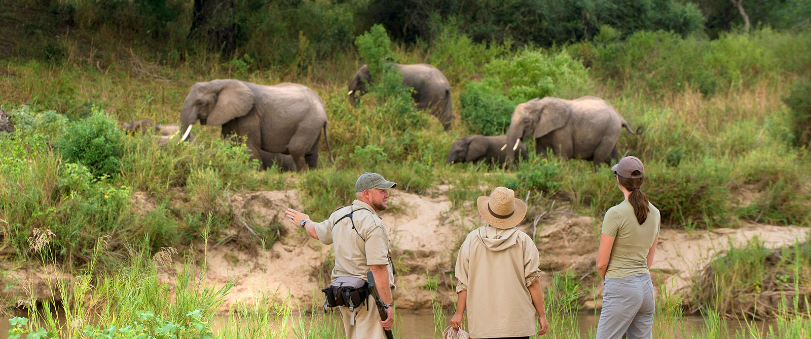 Walking with Elephants at Dulini, Sabi Sands - Big 5 Safari South Africa