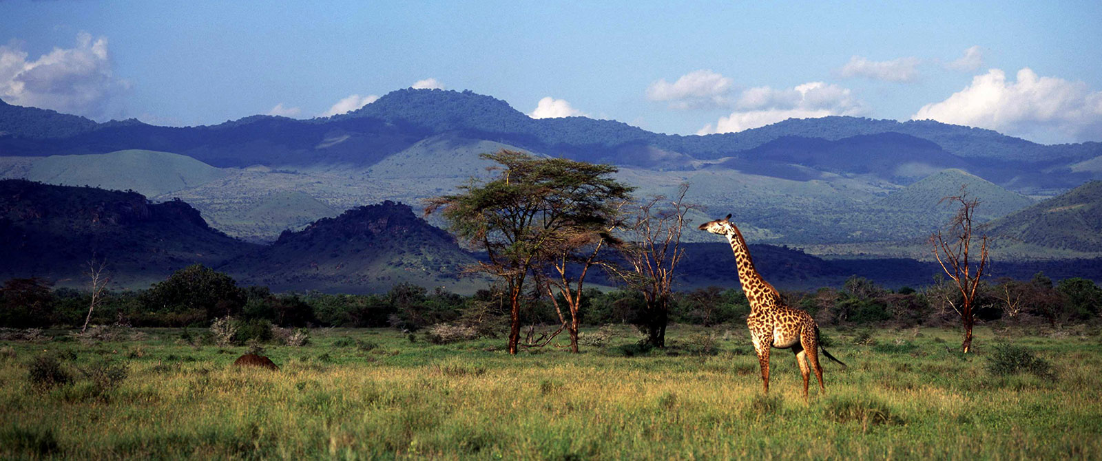 Chyulu Hills, Kenya - African Safari Travel Guide