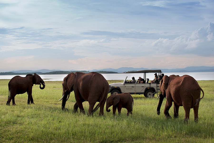 africa unique safaris